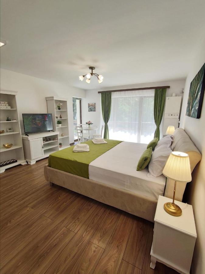 Green Studio Predeal Exteriör bild