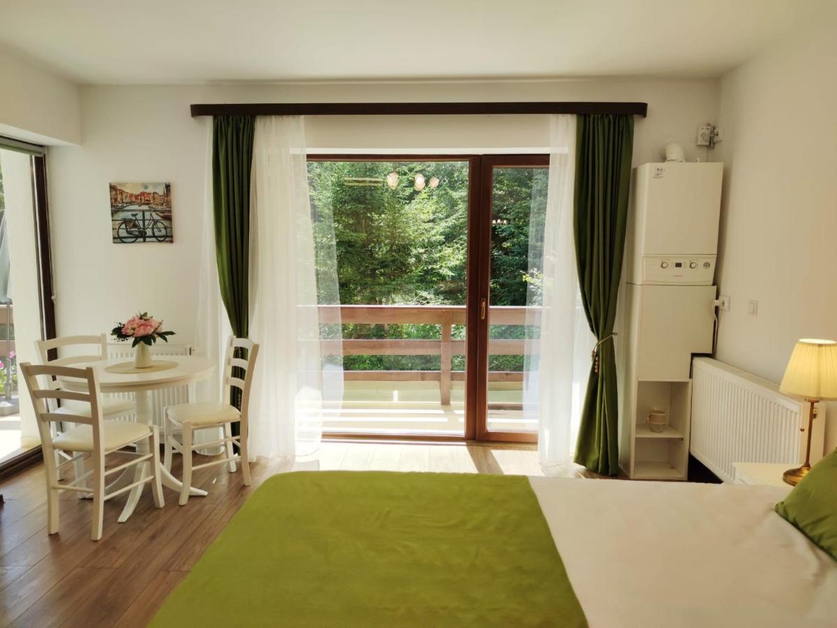 Green Studio Predeal Exteriör bild